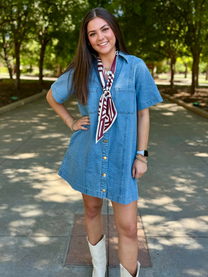 Victory Vibes Chambray Dress