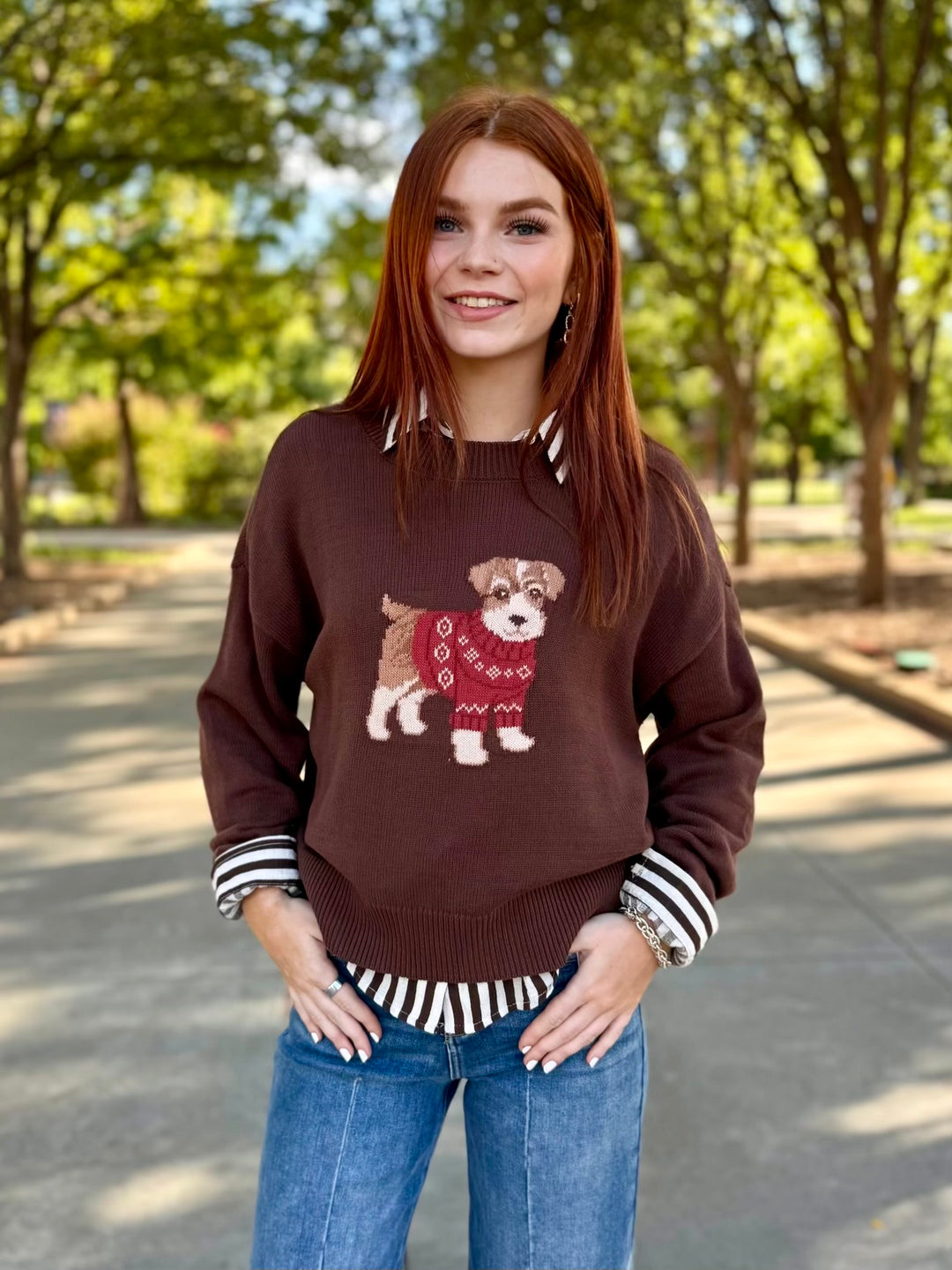 Pups & Threads Brown Knit Sweater