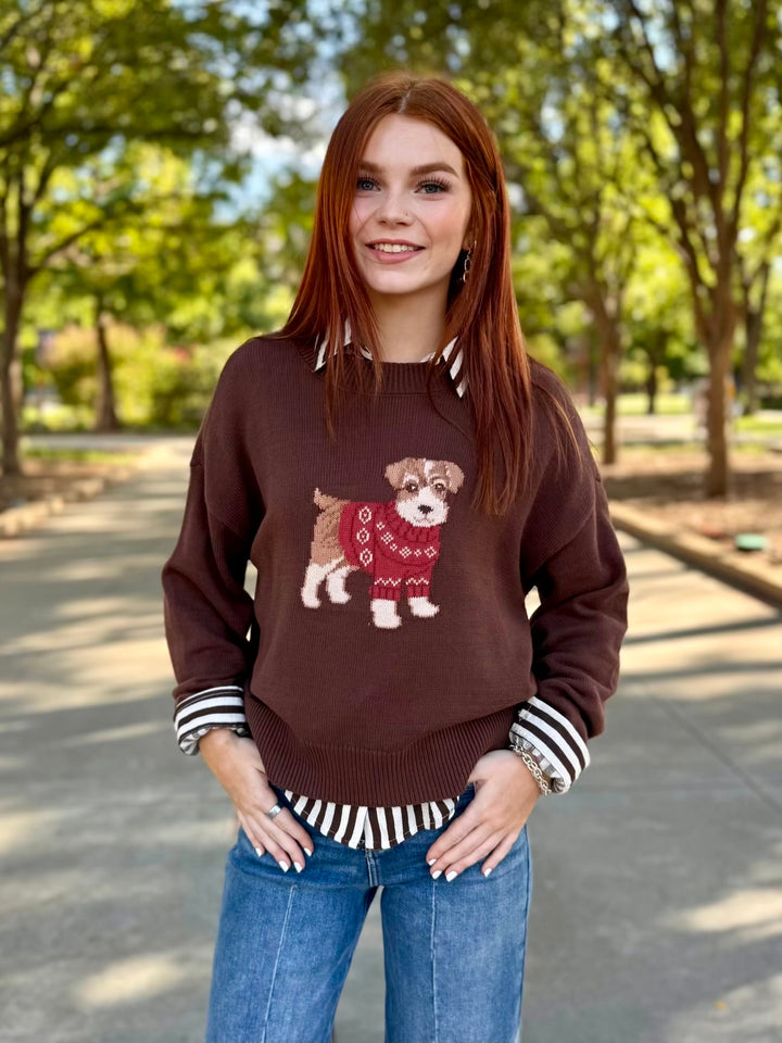 Pups & Threads Brown Knit Sweater