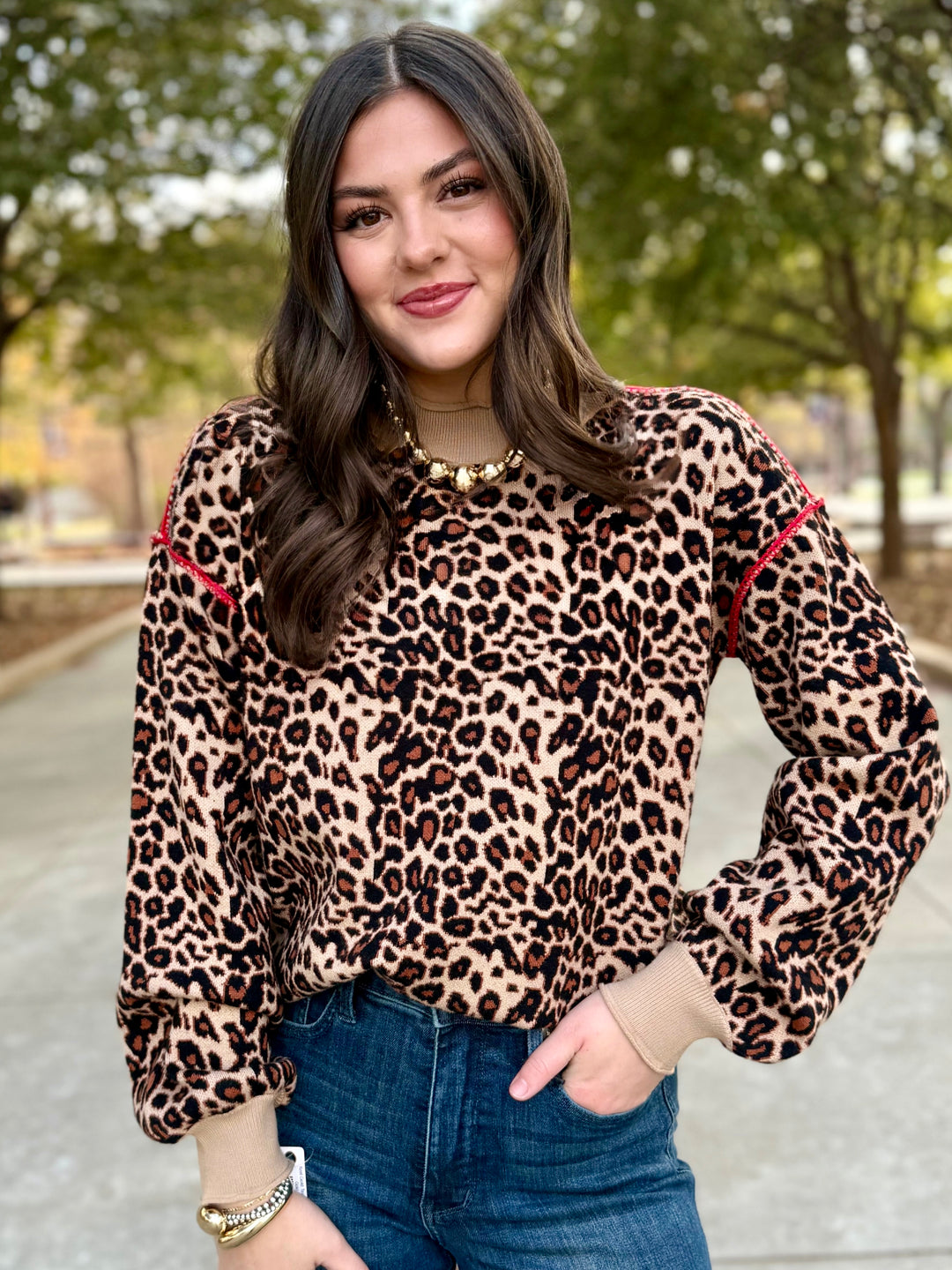 Wildline Leopard Roundneck Sweater
