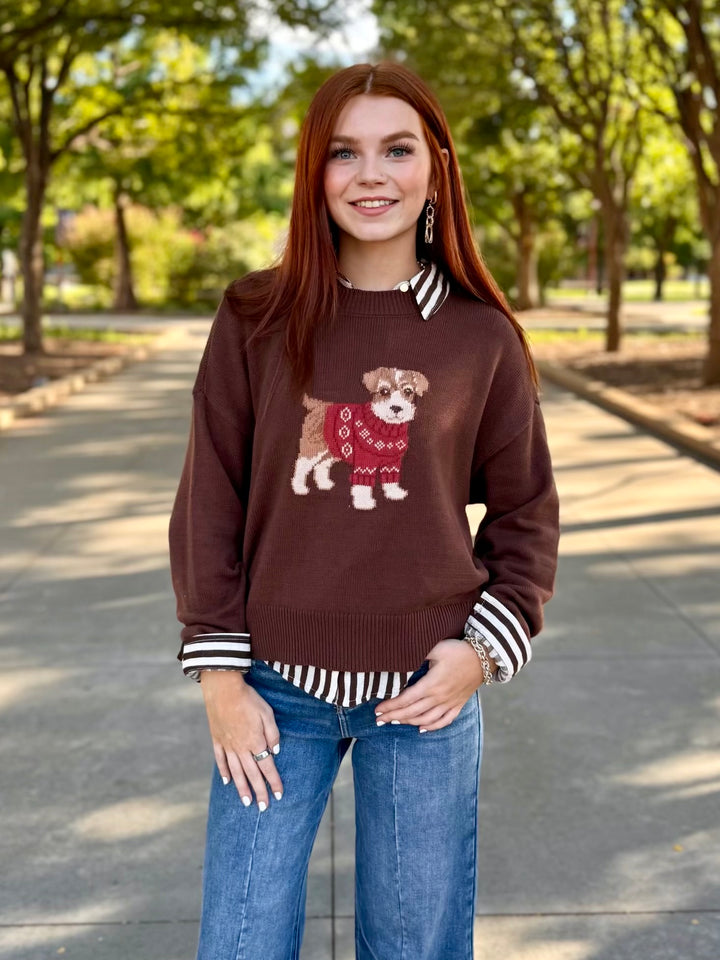 Pups & Threads Brown Knit Sweater
