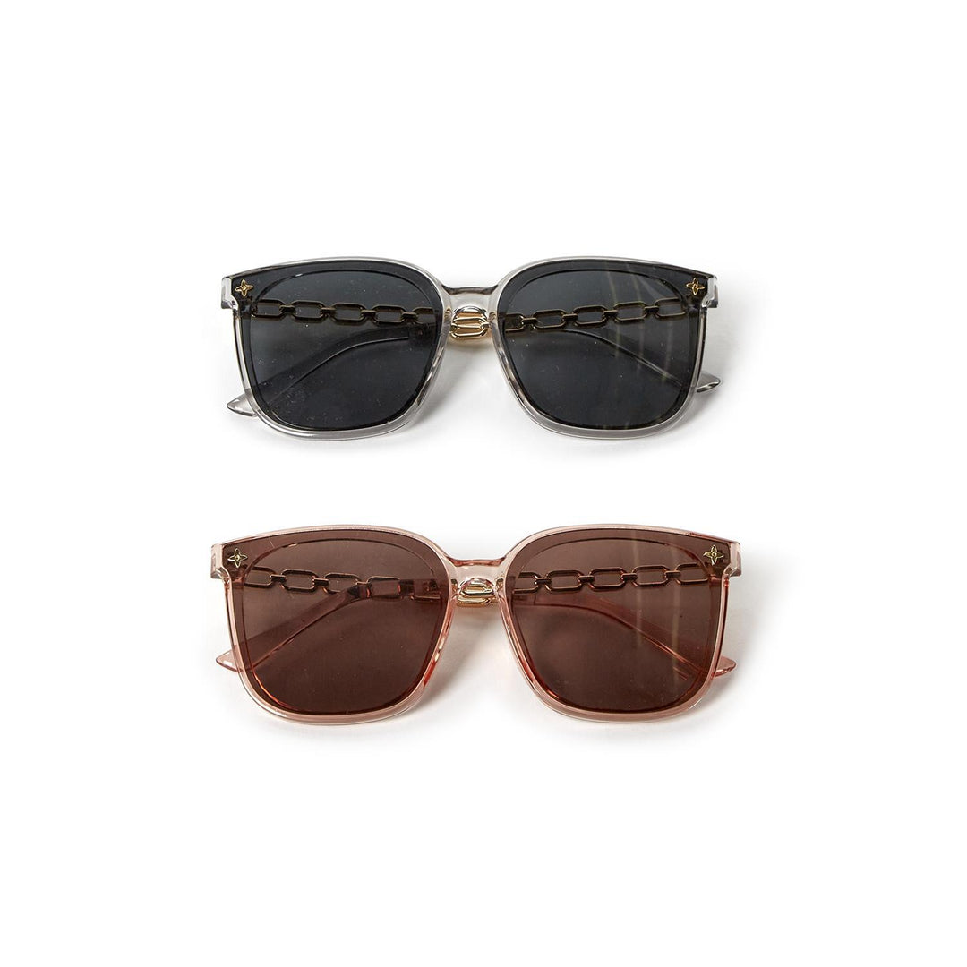Chain Link Sunglasses with Case