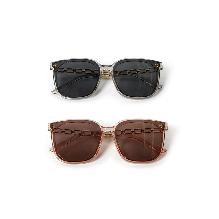 Chain Link Sunglasses with Case