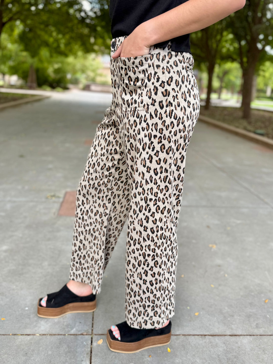 Sherri Wide Leg Cropped Leopard Pant