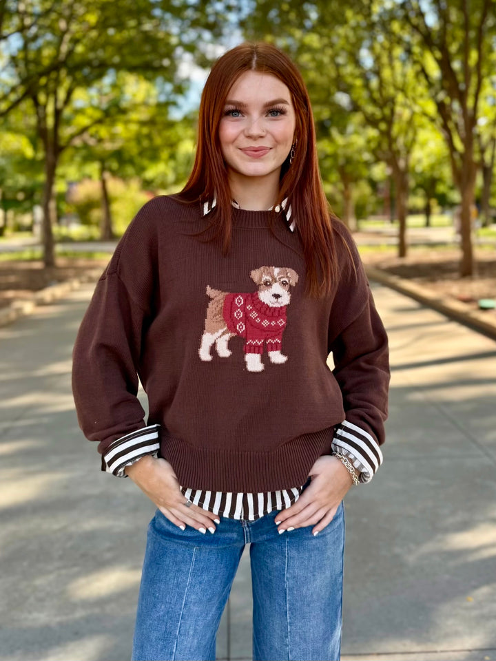 Pups & Threads Brown Knit Sweater