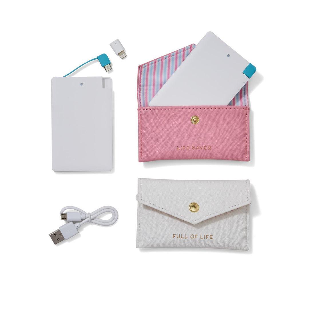 Power Bank in Travel Case