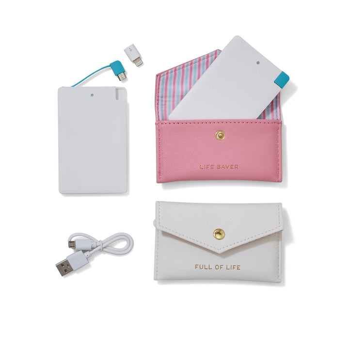 Power Bank in Travel Case