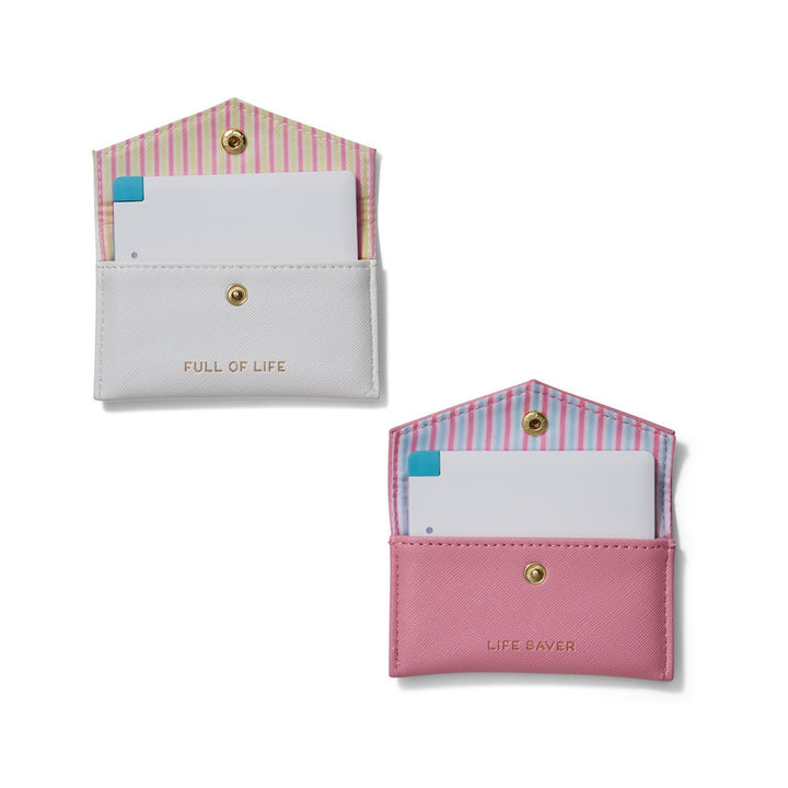 Power Bank in Travel Case