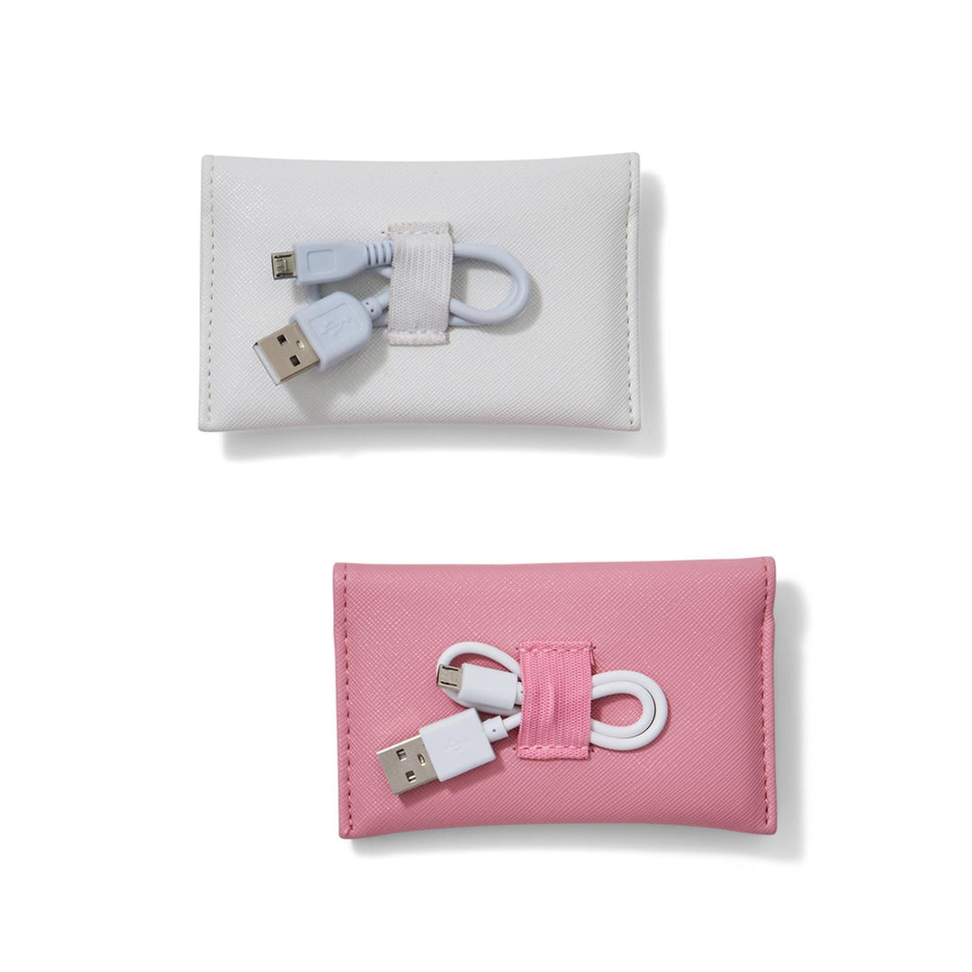 Power Bank in Travel Case