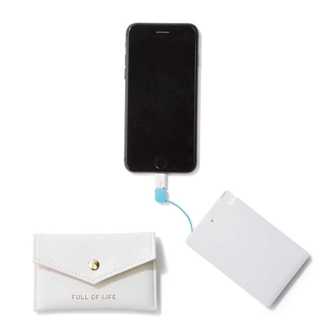 Power Bank in Travel Case