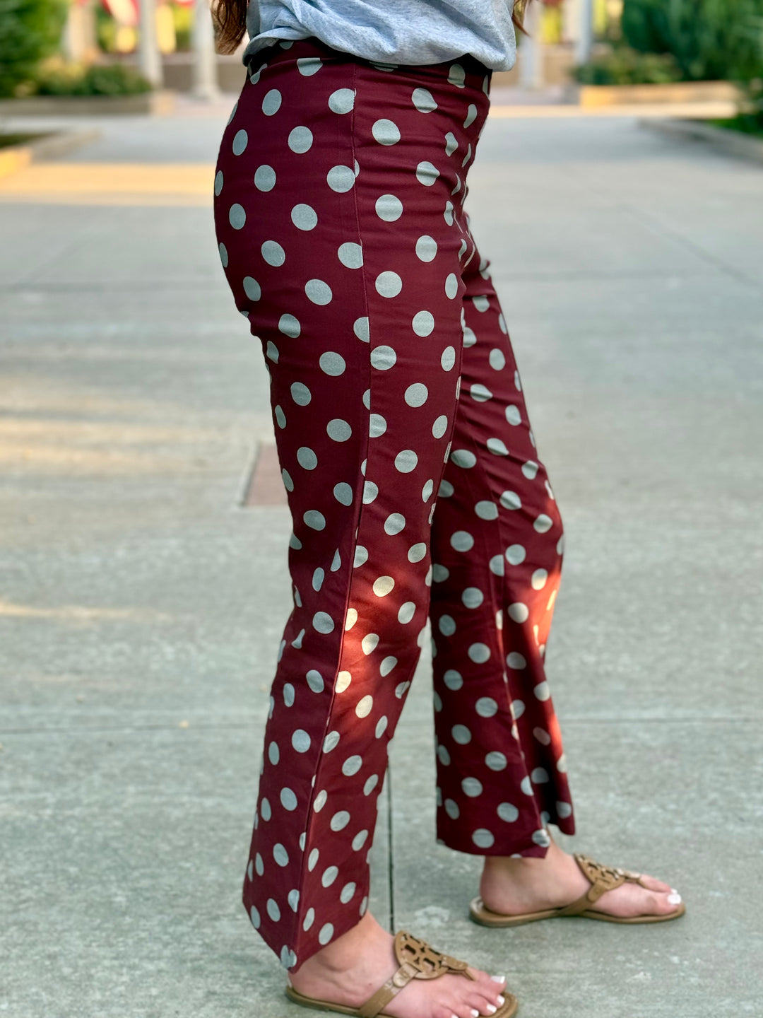 Playful Polka Dot Maroon Pant