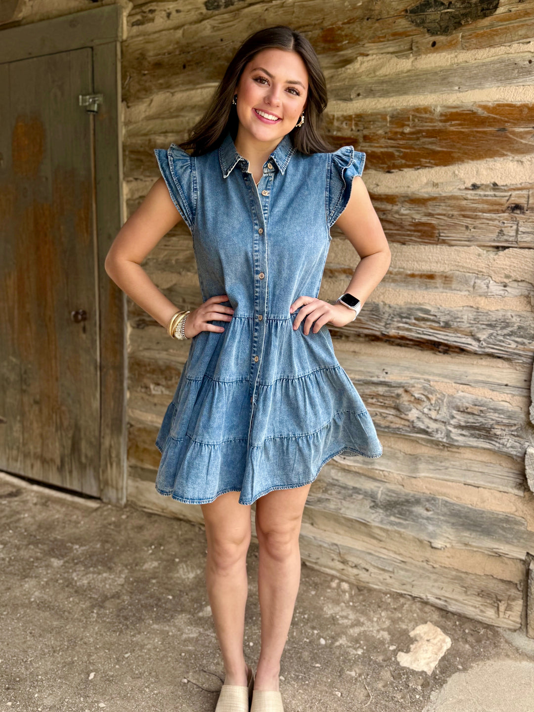 Playful Ruffle Chambray V-Neck Dress