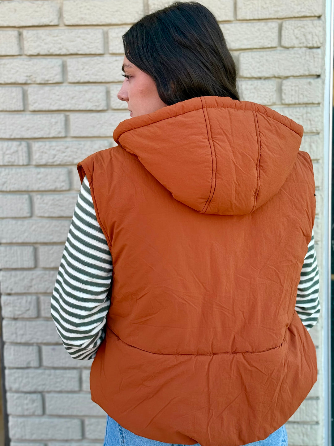 Golden Hour Puffer Vest with Hoodie