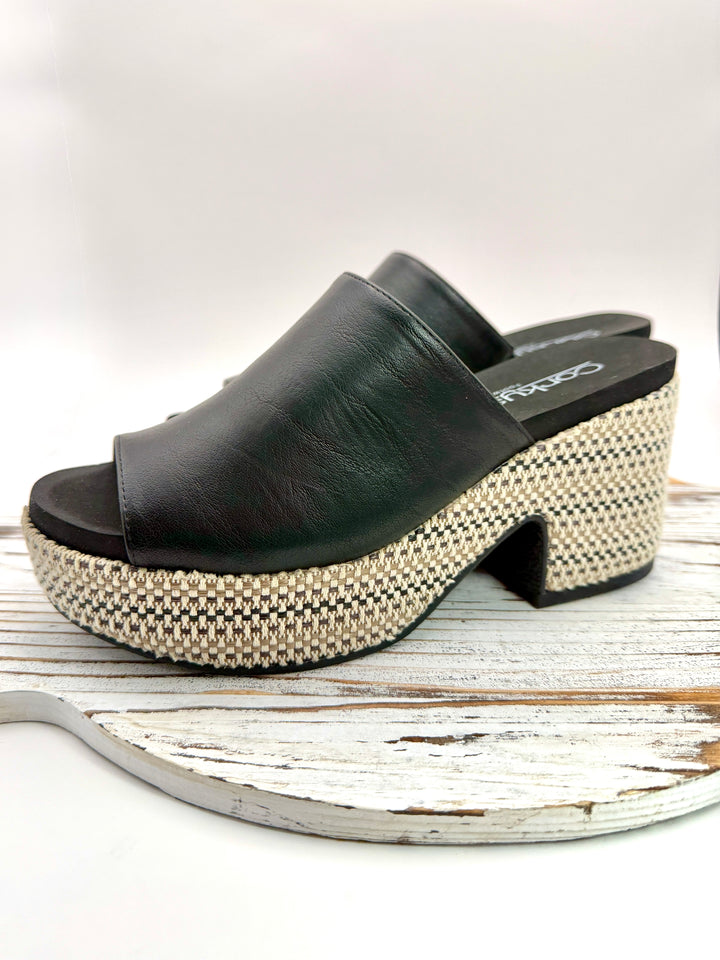 Totally Buggin Black Wedge