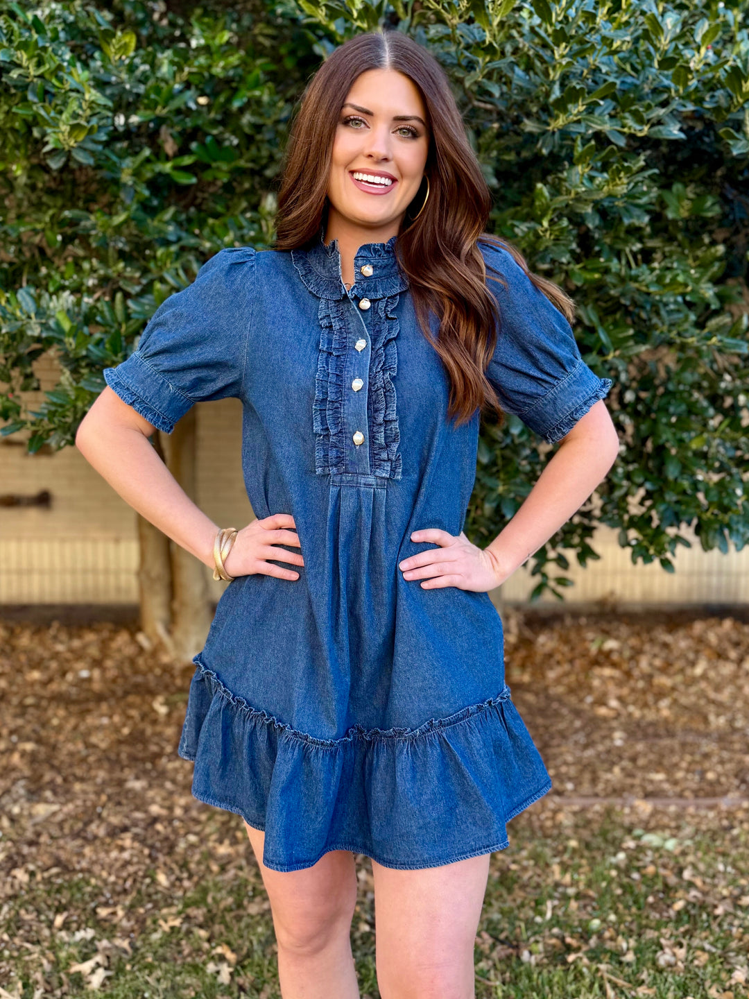 Shiloh Dark Wash Chambray Dress
