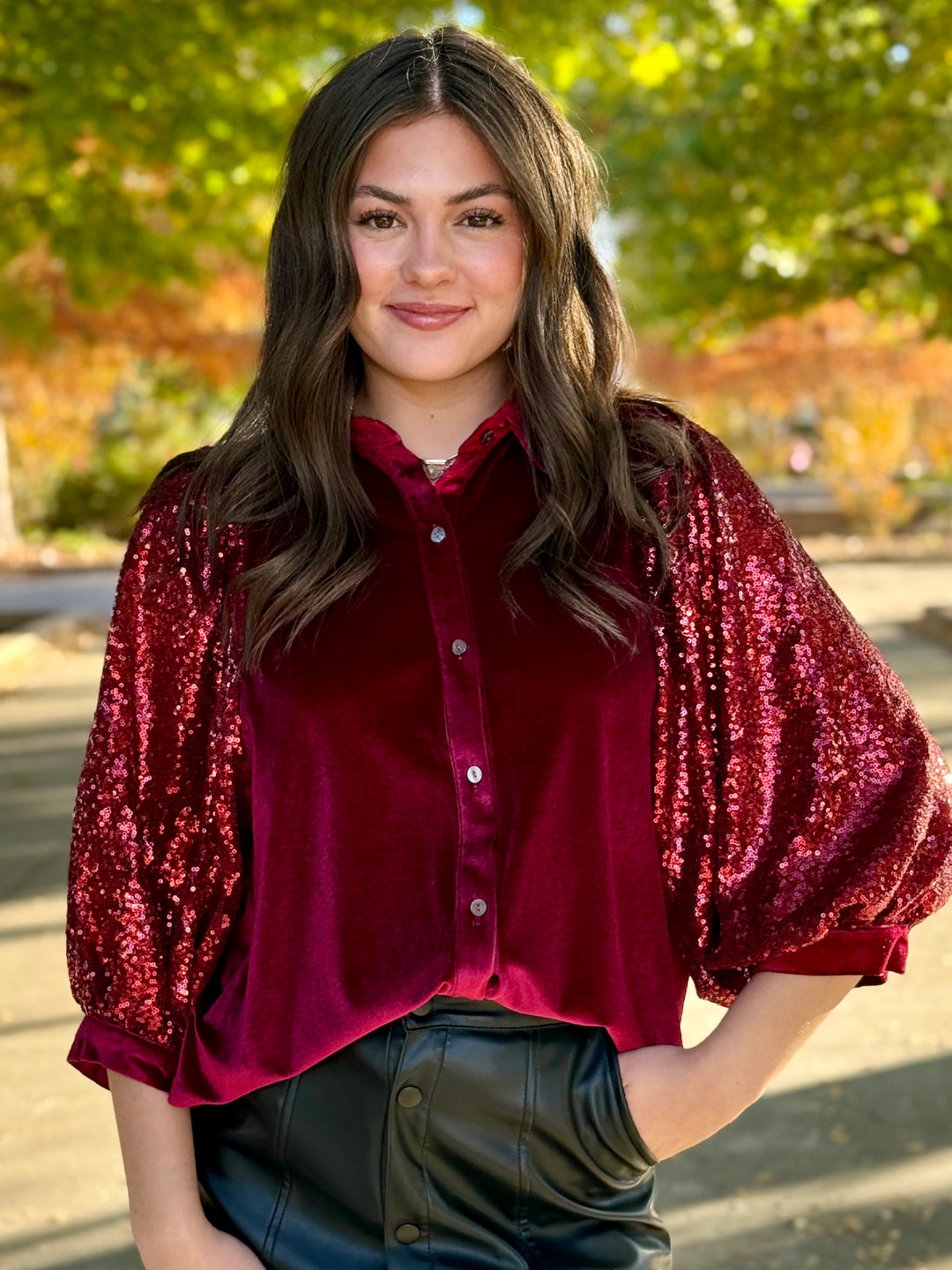 Spinning Sequin Puff Sleeve Velvet Top