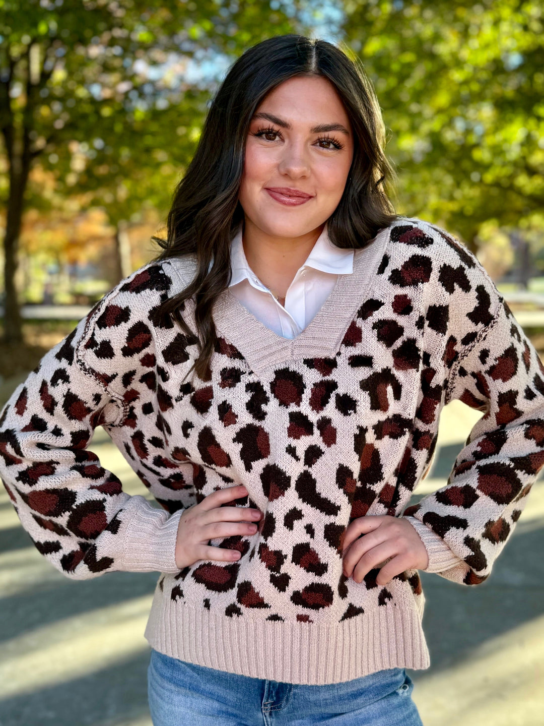 Winter Wonder Leopard Sweater