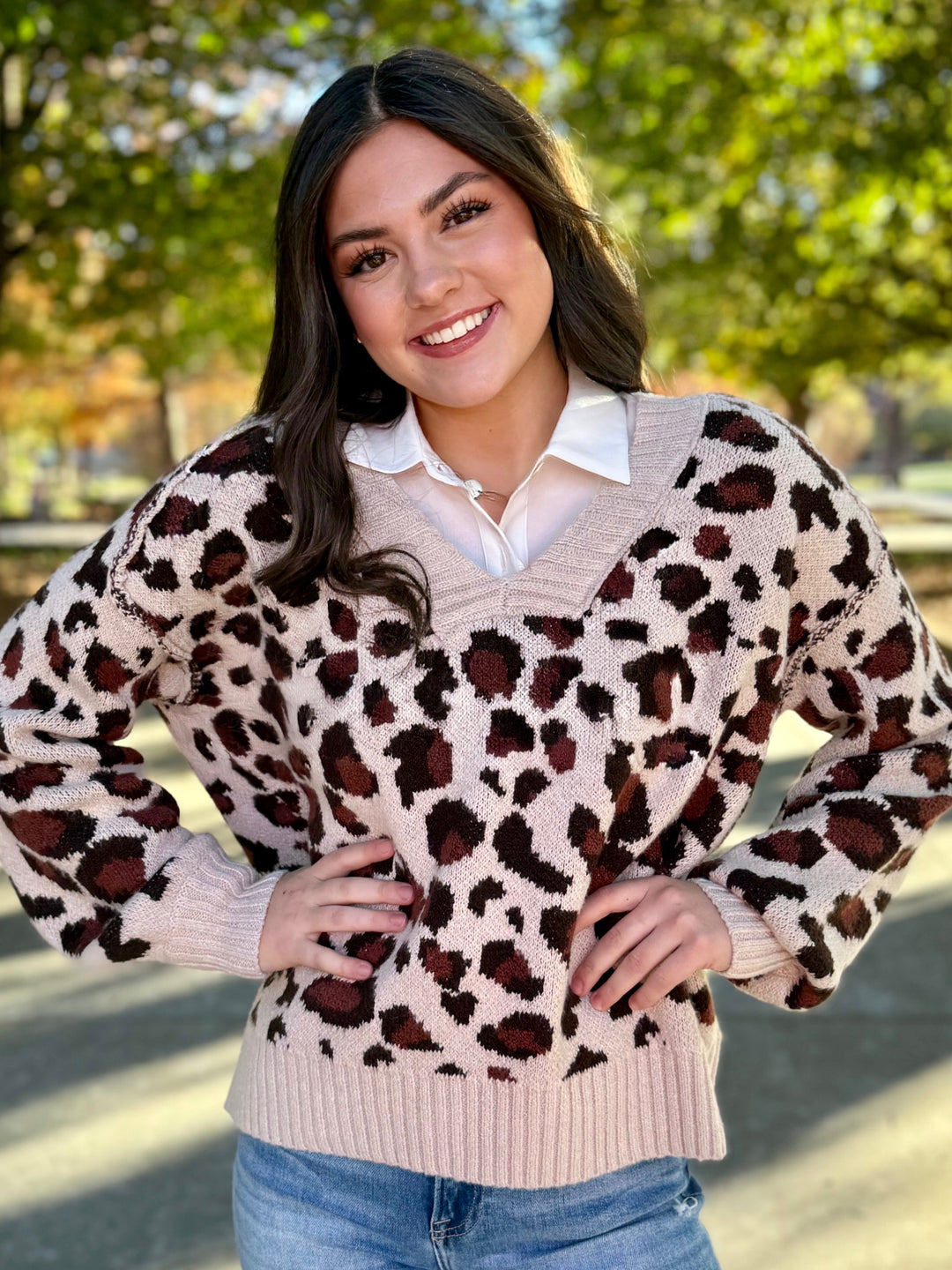 Winter Wonder Leopard Sweater