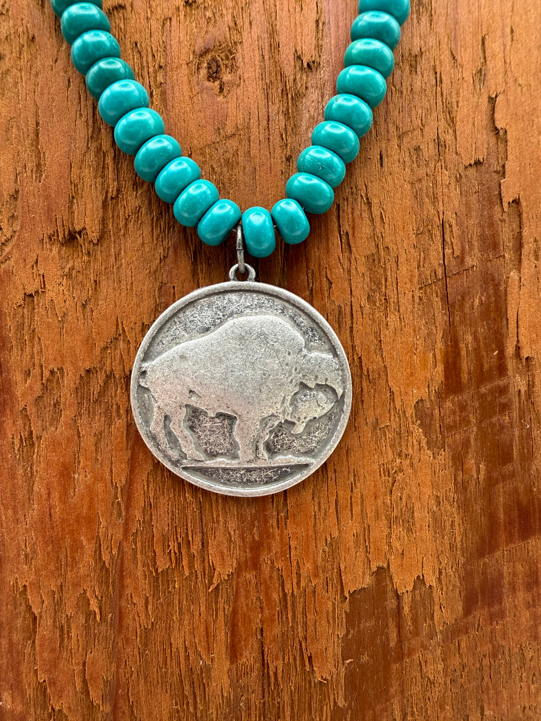 Large Buffalo Coin Necklace