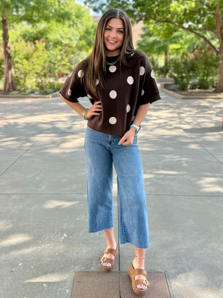 Classic Polka Dot Brown Sweater