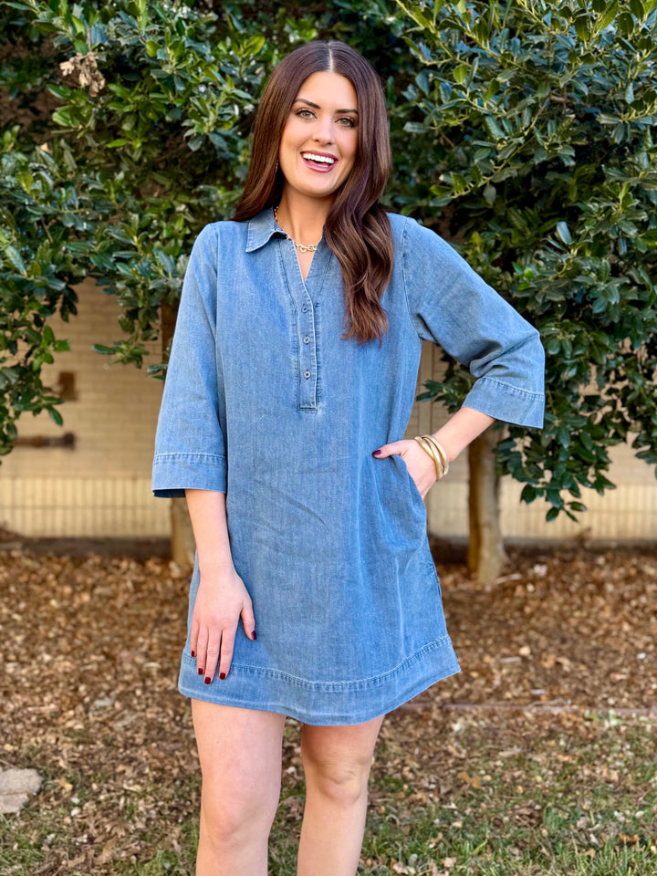 Willow Chambray V-Neck Dress