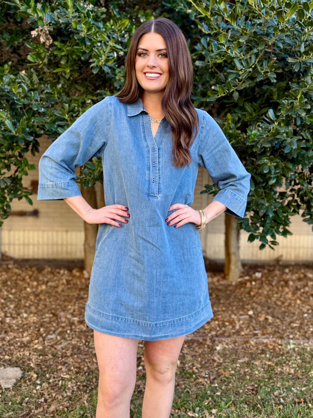Willow Chambray V-Neck Dress