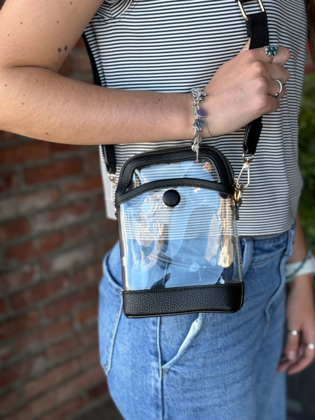 Carly Clear Mini Crossbody Bag