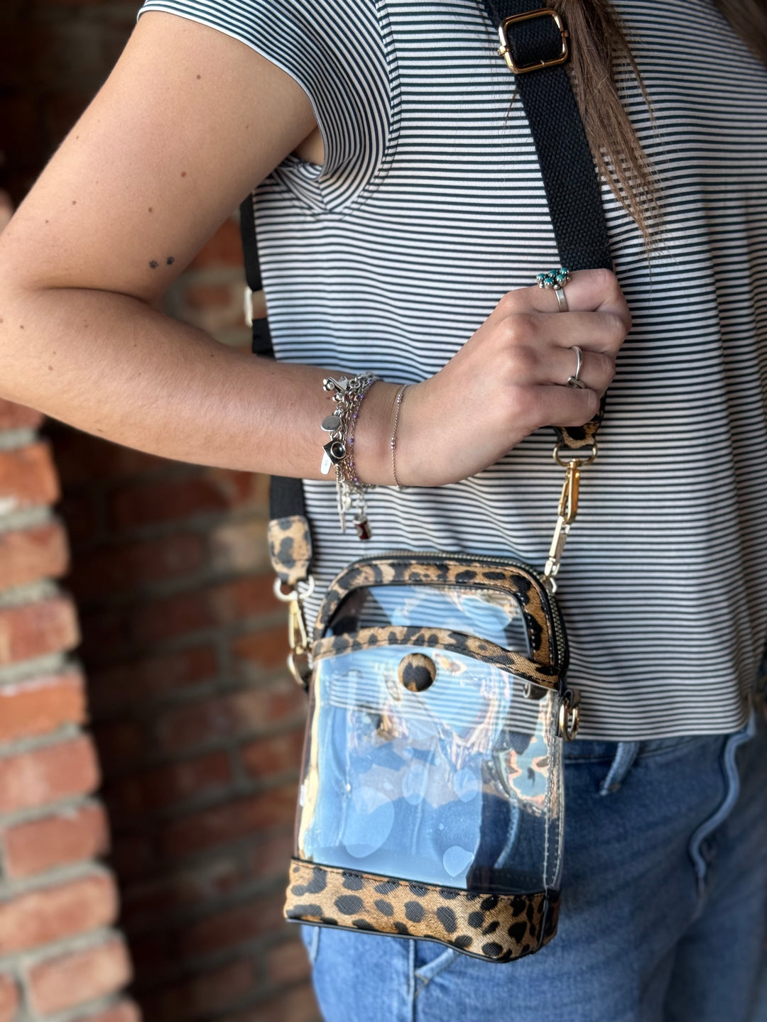 Carly Clear Mini Crossbody Bag