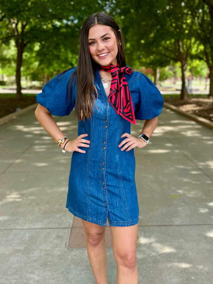 Denim Dreamer Puff Sleeve Dress