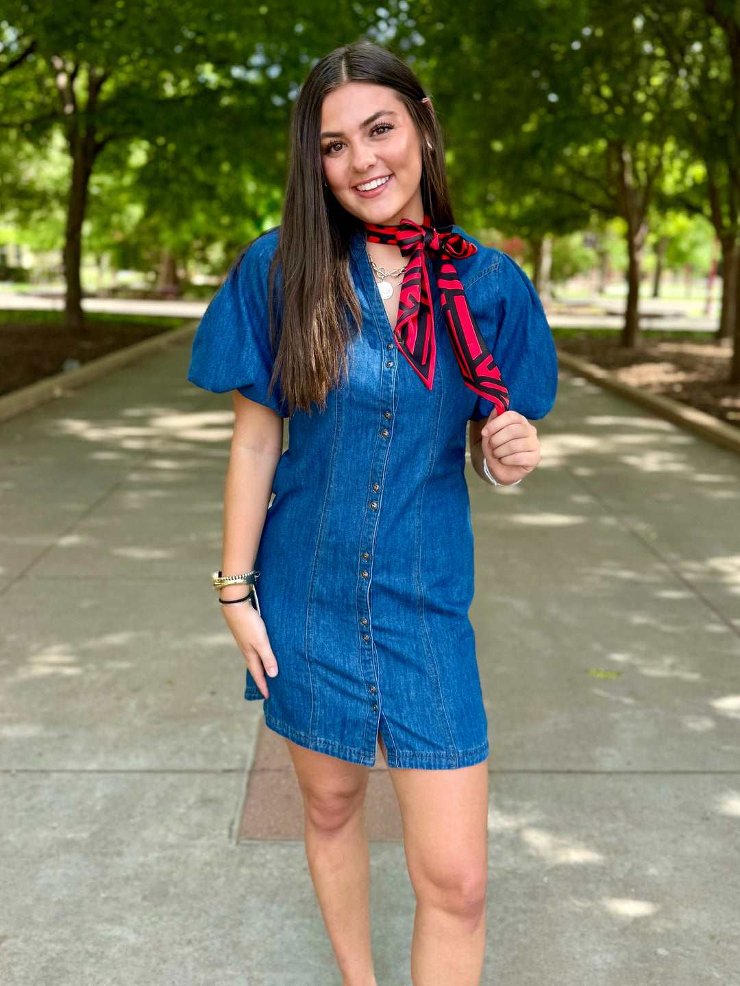 Denim Dreamer Puff Sleeve Dress