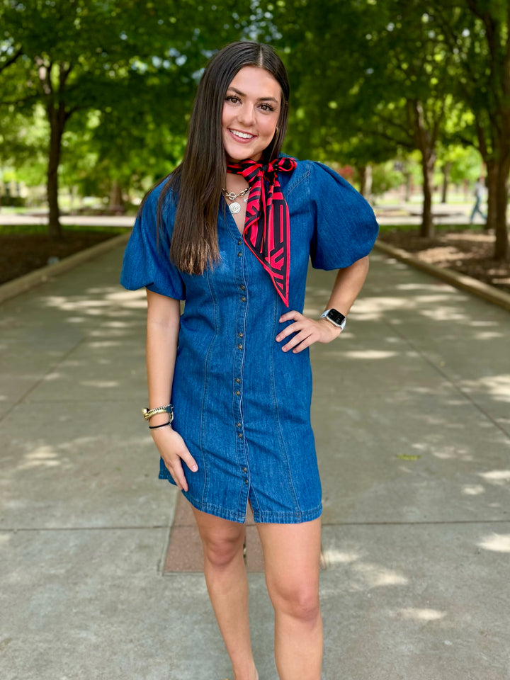 Denim Dreamer Puff Sleeve Dress