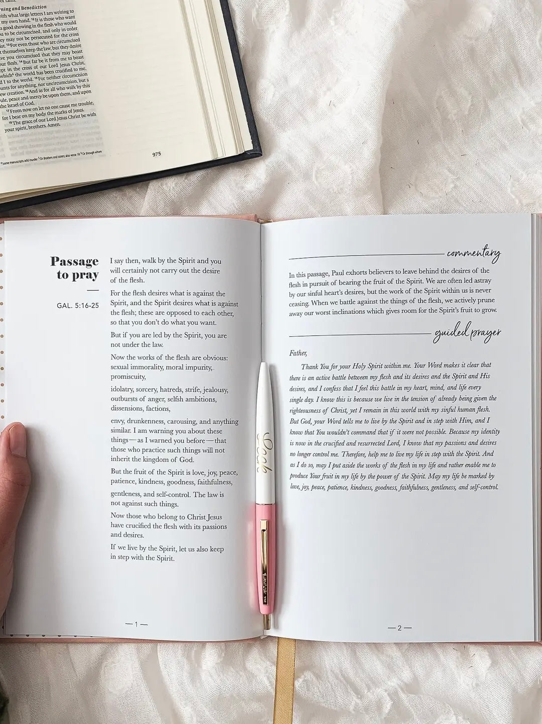 All Things New Pray Scripture Journal