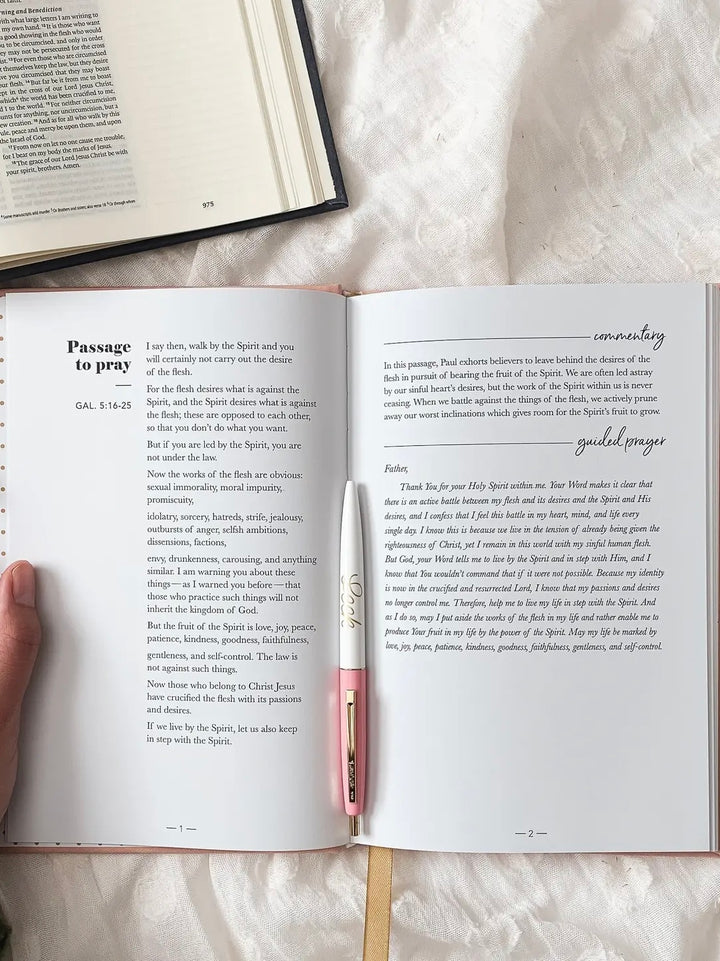 All Things New Pray Scripture Journal