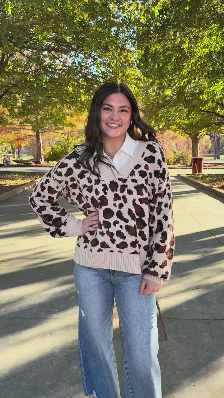 Winter Wonder Leopard Sweater