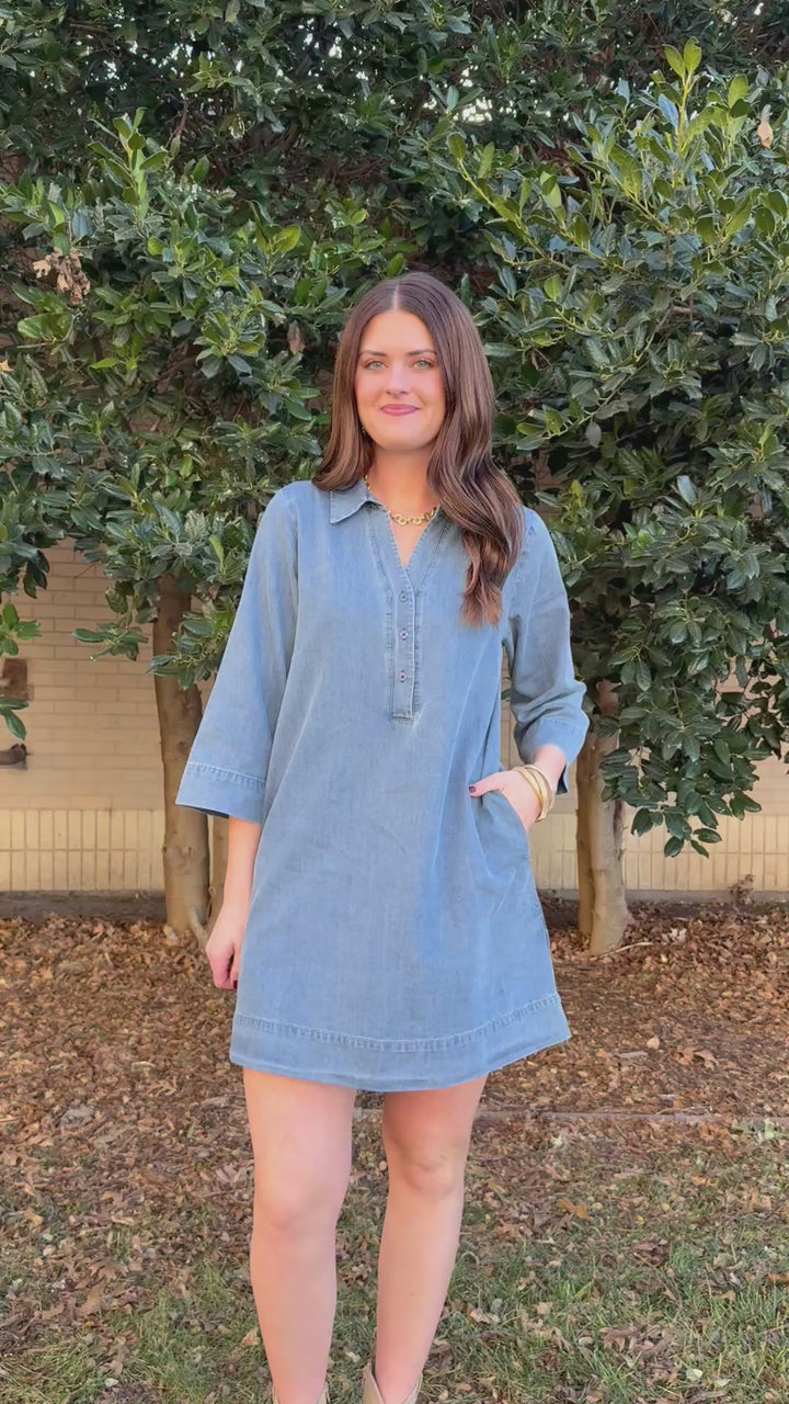 Willow Chambray V-Neck Dress
