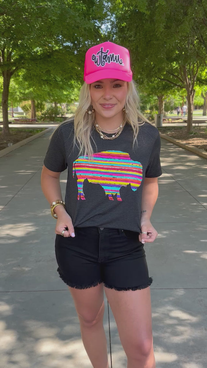Serape Buffalo Short Sleeve Tee